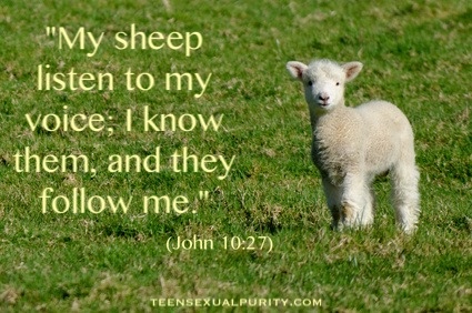 My Sheep Hear My Voice – Missy Baroff Ministries